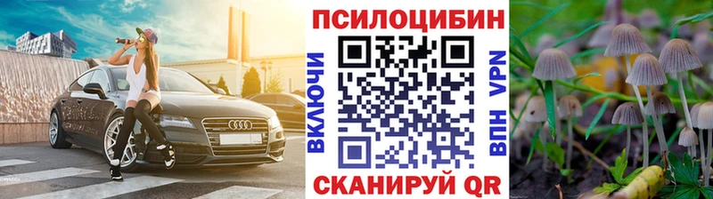 купить наркоту  Гвардейск  Псилоцибиновые грибы мухоморы 